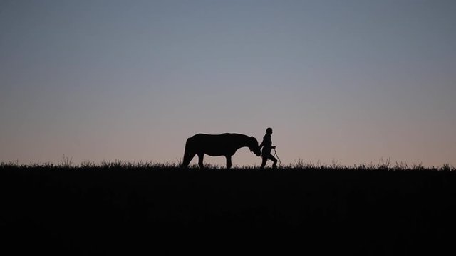 Silhouettes of a woman walking with a horse against sunset background