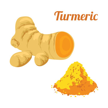 Vector turmeric isolated on white background. Illustration in flat style. Color image for template label, packing and emblem farmer market design.