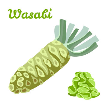 Vector wasabi root and sauce isolated on white background. Color image for template label, packing and emblem farmer market design. Simple icon in flat style.