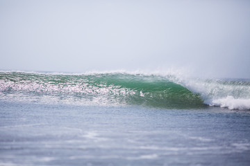 Wave in the ocean