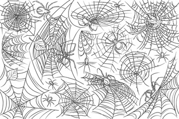 Hand drawn spider and web