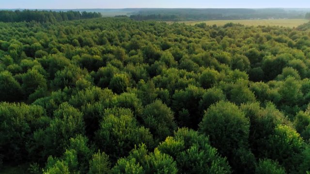 Panning aerial shot beautiful countryside scenery with amazing dense forest park
