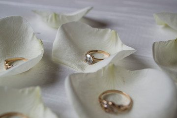 Fototapeta na wymiar Golden rings on a white petals of roses.