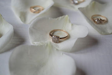 Wedding ring on white petals of roses.