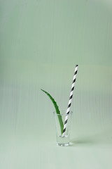 Aloe with black and white straw, fresh food and drink photography, in glass at one colour green background. Copy past and design space, market and shop freshness illustration