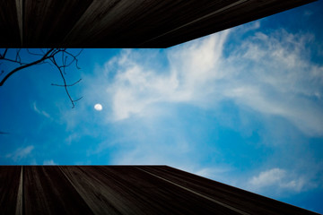 Fototapeta premium Forest Wooden shade silhouette with Evening sky and moon