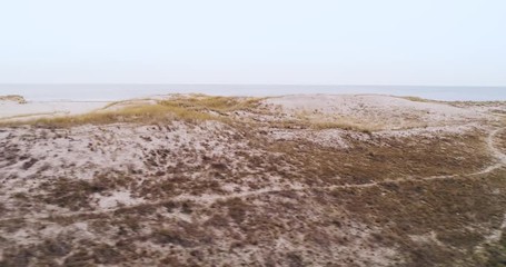 Seashore dunes and plants in the winter. Seasonal landscape in Sobieszewo, Poland. Cold weather.
