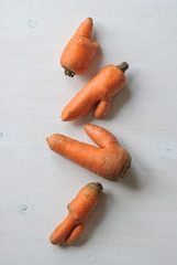 Imperfect carrots with ugly shapes.