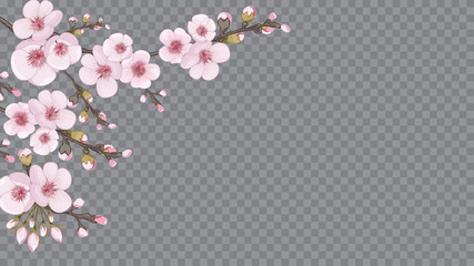 Handmade background in the Japanese style. Light frame horizontal of sakura flowers. Rose on transparent background. Theme design textiles, wallpaper, packaging, printing.