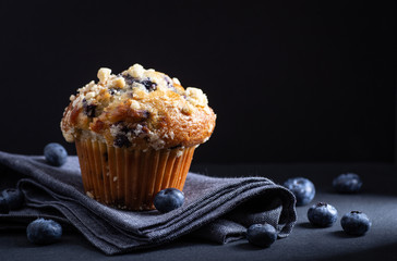 Blueberry Muffin on a Napkin