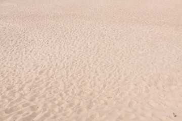 Fototapeta na wymiar sand beach for background and texture