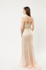 Full length photo of fashion model woman wearing elegant evening dress pastel gown posing isolated on white wall background studio portrait. Brunette long hair girl. Mock up copy space. Back rear view