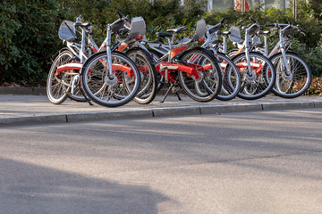 Fototapeta na wymiar Fahrräder für Touristen zum mieten