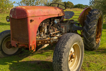 A close up of a rusting red tractor sitting in a garden