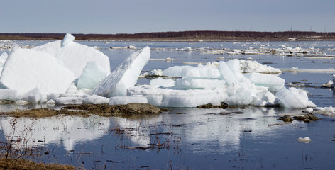 Ice drift on the river.