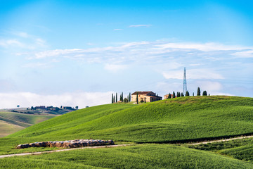 Fototapeta premium Die Crete Senesi ist eine beeindruckende Landschaft in der Toskana südlich von Siena. Sie ist geprägt von hügeligen Feldern.