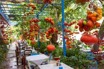 Fototapeta na wymiar GREECE, CRETE, AUGUST 2018: Interior of one of the roadside cafe in Crete. Tomatoes garter on the ropes