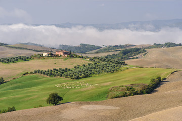 Fototapeta na wymiar Die Crete Senesi ist eine beeindruckende Landschaft in der Toskana südlich von Siena. Sie ist geprägt von hügeligen Feldern.