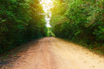 Fototapeta na wymiar Dirt road in the north of the island of Phu Quoc, Vietnam