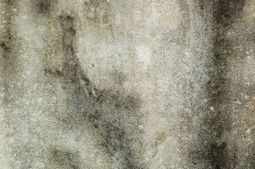 mildewed wall background