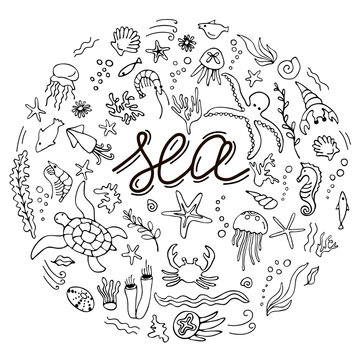 Set with hand drawn sea inhabitants elements. Vector doodle cartoon set of marine life objects for your design.