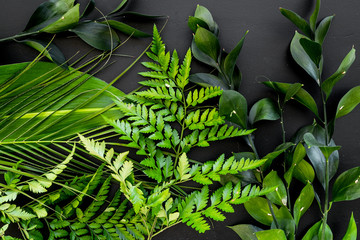 Obraz premium Spring composition. Young green leaves and branches on black background top view