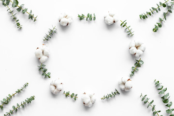 Flowers frame with fresh eucalyptus branches and cotton on white background top view copy space