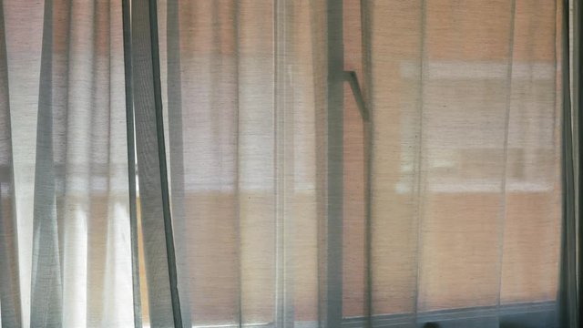 Wind blowing through the open window and stirring slightly the curtains