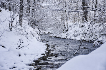 Winter river in the calm forest, trees covered with snow and small river flow landscape. A nice place for meditation flowing water sound in the background.