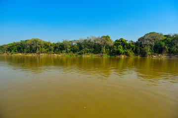 River landscape  and jungle,Pantanal, Brazil
