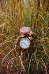 Man in the pampas grass holds the old alarm clock