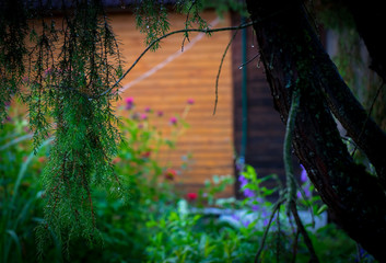 Rest in the village.