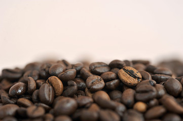 Brown roasted coffee beans, seed on pink background