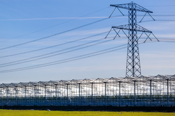 Greenhouse and an electricity pylon