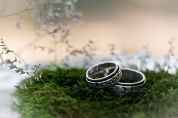 Obraz na płótnie Canvas Two silver wedding rings with the symbols on the moss. Soft focus with flash from the sun on nature background bokeh. (Vintage style) boho-chic, ethnic amulet.