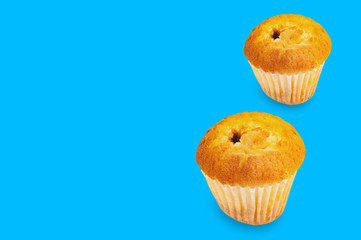 Pair of baked muffins without cream in paper form on blue background with copy space for your text