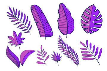 Fototapeta na wymiar Hand drawn vector tropical leaves