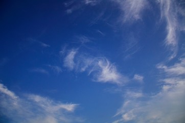 Obraz premium Beautiful natural pattern of white clouds and blue sky. Waving white clouds and consecutive blue color from bright to dark with freedom.