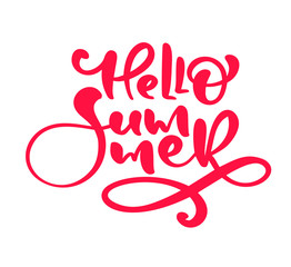 Calligraphy lettering phrase Hello Summer. Vector Hand Drawn Isolated text. Sketch doodle design for greeting card, scrapbook, print