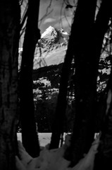 Brigelserhörner durch Wald