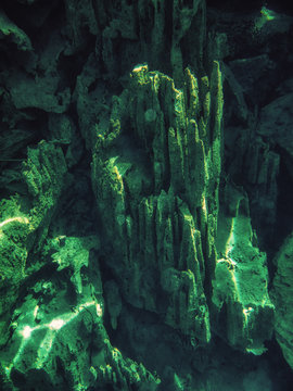 Barracuda Lake, underwater shot,.