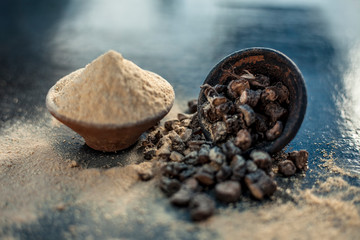Popular Indian & Asian ayurvedic organic herb musli or Chlorophytum borivilianum or Curculigo orchioides or kali moosli in a clay with its powder in another bowl on wooden surface.