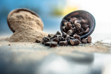 Popular Indian & Asian ayurvedic organic herb musli or Chlorophytum borivilianum or Curculigo orchioides or kali moosli in a clay with its powder in another bowl on wooden surface.
