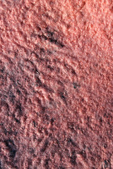 art color felt background texture, wool handmade textile