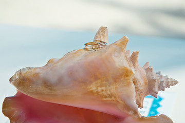 beach wedding and decoration.