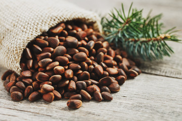 Pine nuts in a bag of burlap on an old vintage background with a fir green branch. In country style.