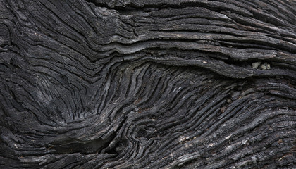 close up old black of wooden, texture and background of old wooden