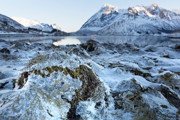 Winterlandschaft auf den Lofoten, Norwegen © Harald Biebel