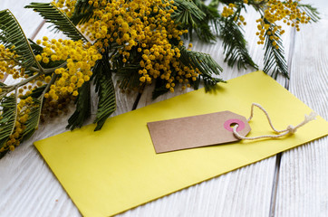 Beautiful Mimosa flower on a wooden background. - Image