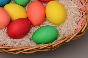 Easter colored eggs in nest on grey background